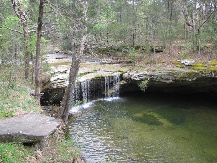 Can Researchers Relate Biological Activity to Hydrological Classes in Ozark Streams?