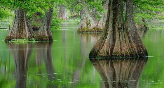 USDA Announces $15 Million Public – Private Investment to Improve Critical Wetlands