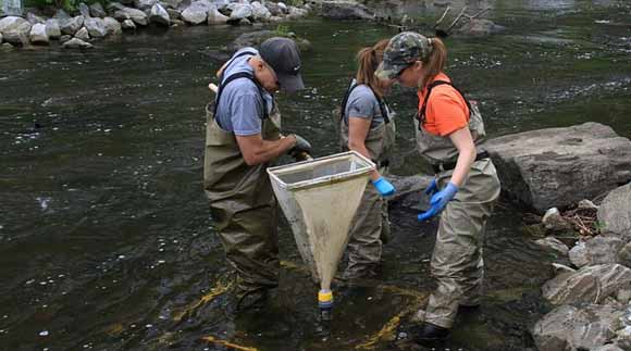 Water Science and Policy Fellowship Available with EPA