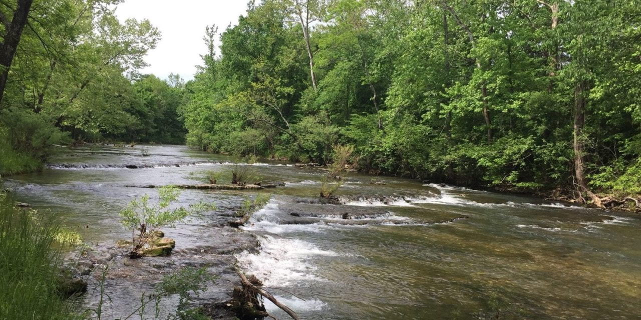Researchers Characterize Nutrient Sources in the Big Creek, Sub-Watershed of the Buffalo River