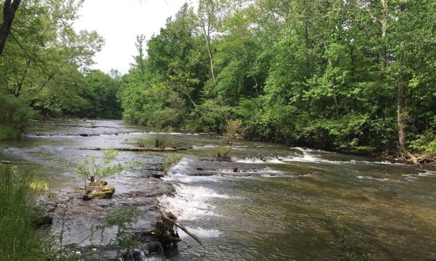 Researchers Characterize Nutrient Sources in the Big Creek, Sub-Watershed of the Buffalo River