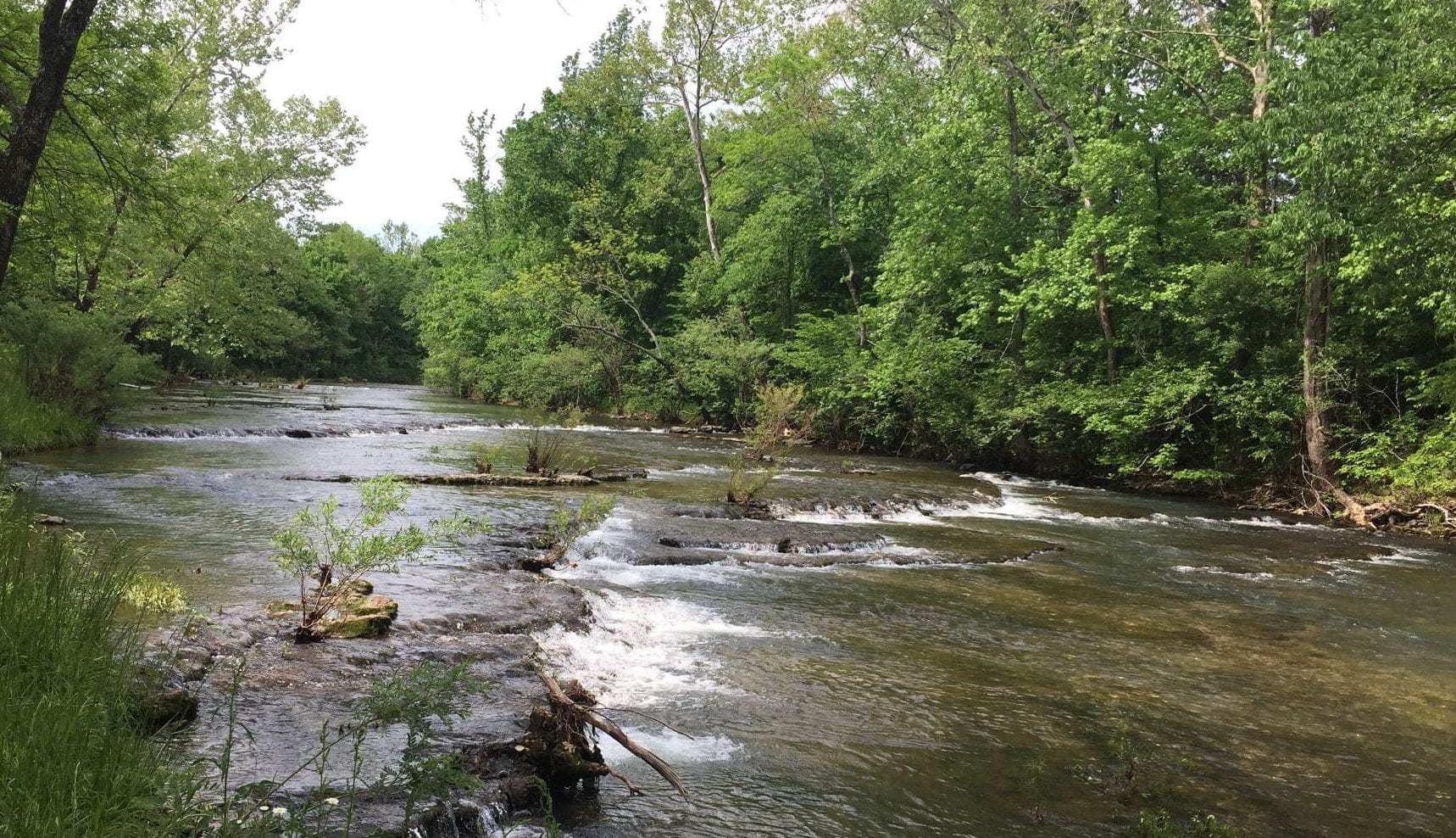 Researchers Characterize Nutrient Sources in the Big Creek, Sub ...