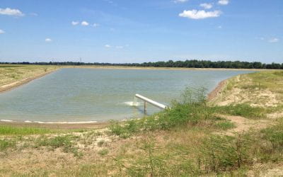 Researchers Study Herbicide Persistence in Tailwater Recovery Systems