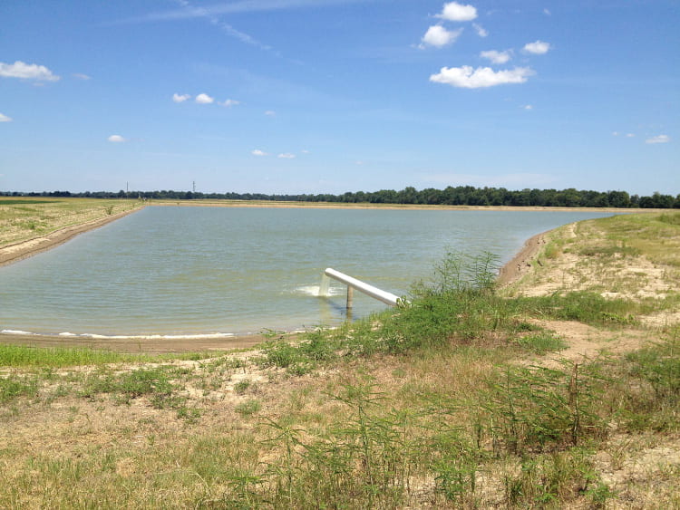 Researchers Study Herbicide Persistence in Tailwater Recovery Systems