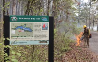 Controlled burn on Bufflehead Bay on Lake Maumelle