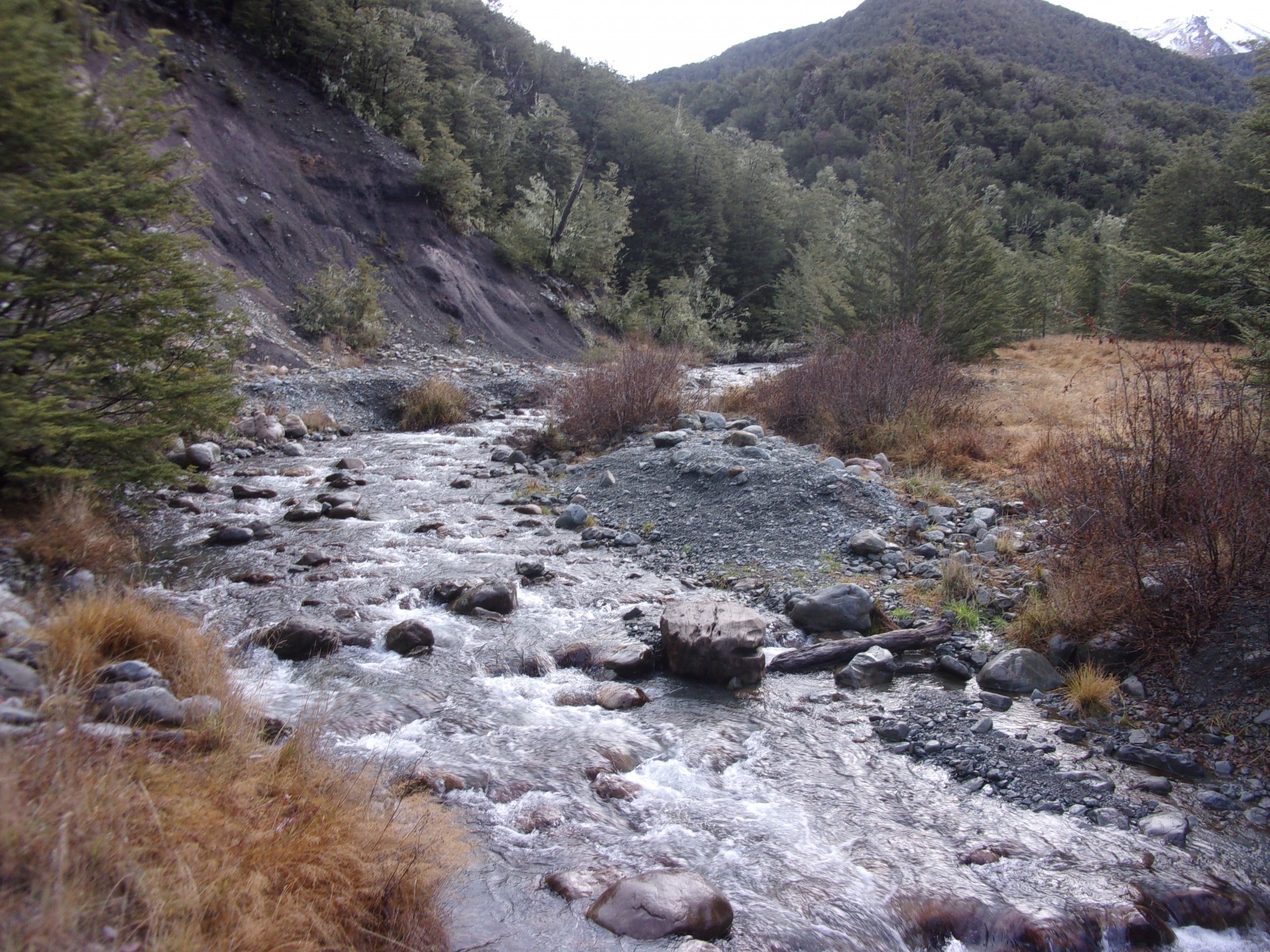 New Zealand mountain stream.